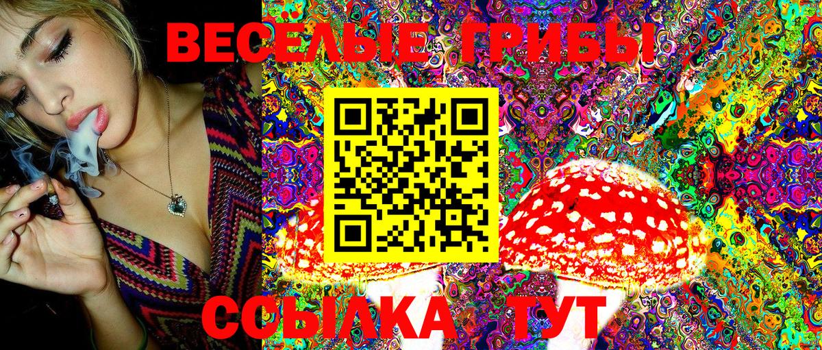 Галлюциногенные грибы Psilocybe  Вход с VPN  Кирово-Чепецк 