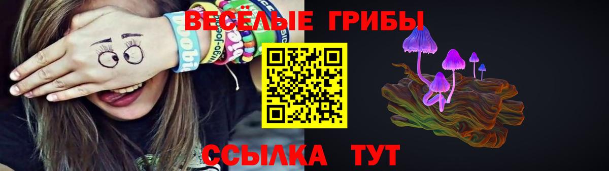 Псилоцибиновые грибы GOLDEN TEACHER Кирово-Чепецк